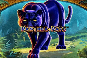Panther Pays - QUEENBET138