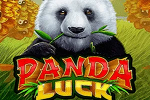 Panda Luck - QUEENBET138