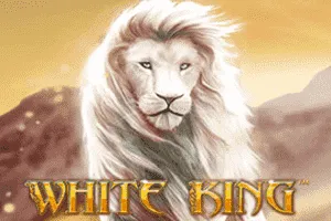 White King - QUEENBET138