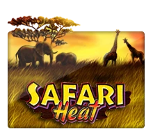 Safari Heat - QUEENBET138