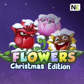 Flowers Christmas Edition - QUEENBET138