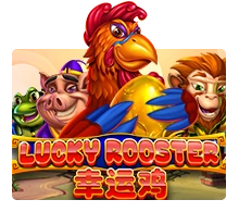 Lucky Rooster - QUEENBET138