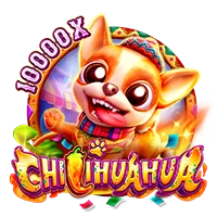 CHILIHUAHUA - QUEENBET138