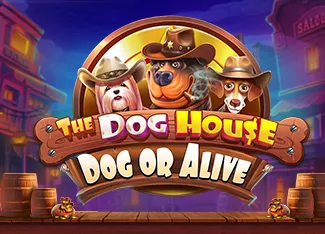 The Dog House - Dog or Alive - QUEENBET138