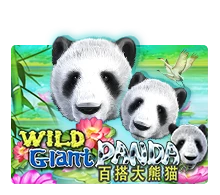 Wild Giant Panda - QUEENBET138