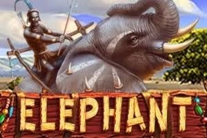 PLAYSTAR : ELEPHANT - QUEENBET138