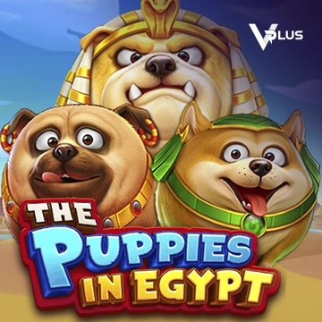 The Puppies In Egypt - QUEENBET138