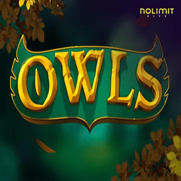 Owls - QUEENBET138