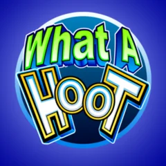 What A Hoot - QUEENBET138