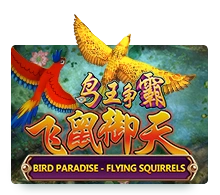 Bird Paradise - QUEENBET138