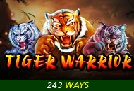 Spadegaming : Tiger Warrior - QUEENBET138