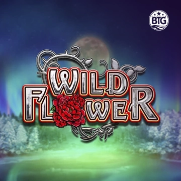 Bigtime : Wild Flower - QUEENBET138