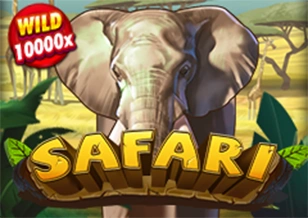 Safari - QUEENBET138