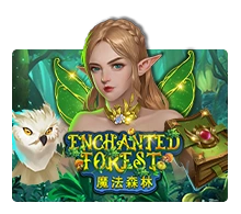 Enchanted Forest - QUEENBET138