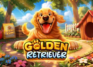 Golden Retriever - QUEENBET138
