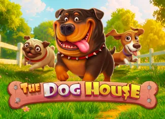 The Dog House - QUEENBET138