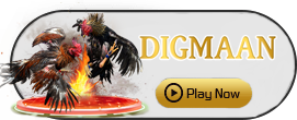 Digman - QUEENBET138