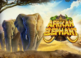 African Elephant - QUEENBET138